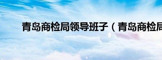 青岛商检局领导班子（青岛商检局）