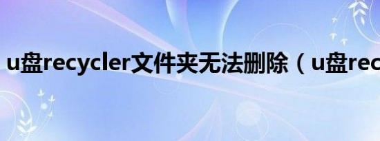 u盘recycler文件夹无法删除（u盘recycler）