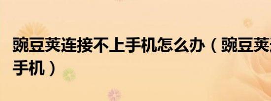 豌豆荚连接不上手机怎么办（豌豆荚连接不上手机）