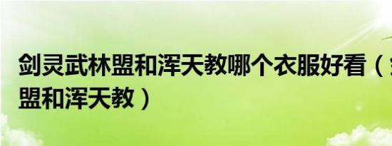 剑灵武林盟和浑天教哪个衣服好看（剑灵武林盟和浑天教）