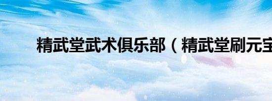 精武堂武术俱乐部（精武堂刷元宝）