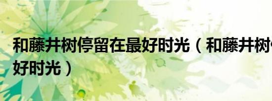 和藤井树停留在最好时光（和藤井树停留在最好时光）
