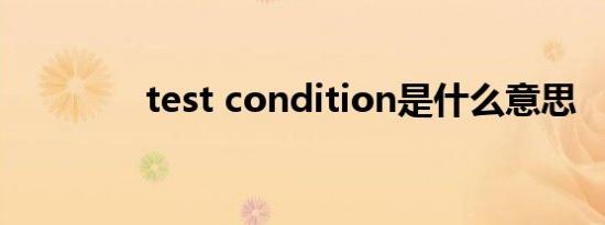 test condition是什么意思
