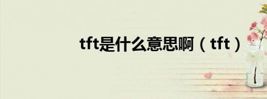 tft是什么意思啊（tft）