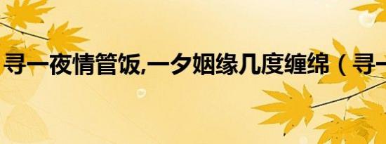 寻一夜情管饭,一夕姻缘几度缠绵（寻一夜情）