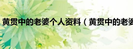 黄贯中的老婆个人资料（黄贯中的老婆是谁）