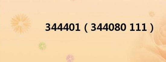 344401（344080 111）