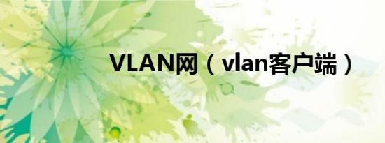 VLAN网（vlan客户端）