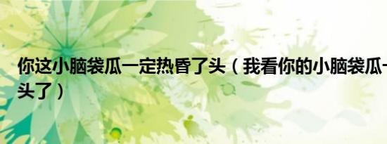 你这小脑袋瓜一定热昏了头（我看你的小脑袋瓜一定是热昏头了）