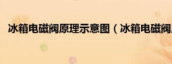 冰箱电磁阀原理示意图（冰箱电磁阀原理）