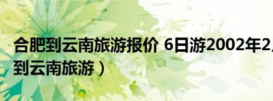 合肥到云南旅游报价 6日游2002年2月（合肥到云南旅游）