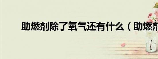 助燃剂除了氧气还有什么（助燃剂）