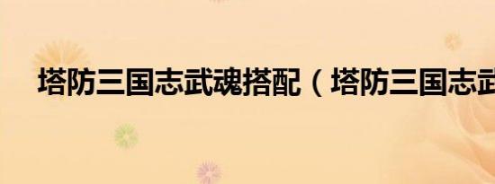 塔防三国志武魂搭配（塔防三国志武魂）