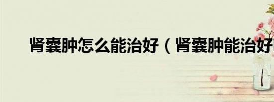 肾囊肿怎么能治好（肾囊肿能治好吗）
