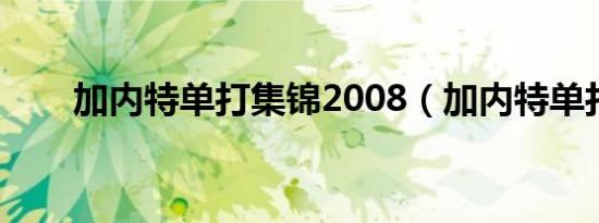 加内特单打集锦2008（加内特单打）