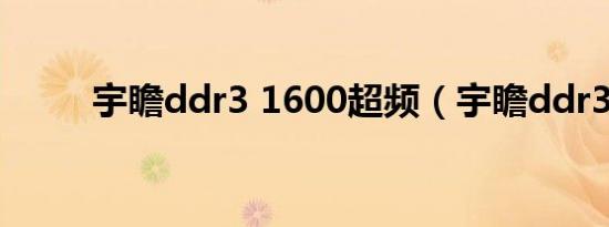 宇瞻ddr3 1600超频（宇瞻ddr3）