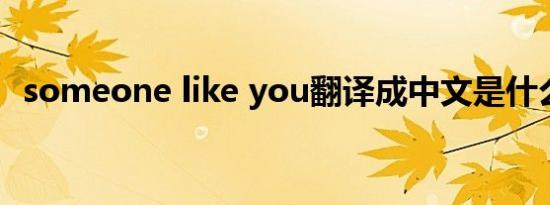 someone like you翻译成中文是什么意思