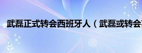 武磊正式转会西班牙人（武磊或转会英超）