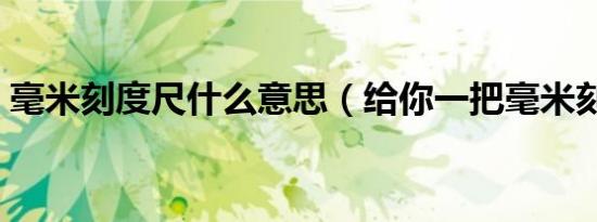 毫米刻度尺什么意思（给你一把毫米刻度尺）