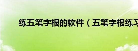 练五笔字根的软件（五笔字根练习）