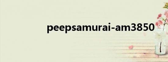 peepsamurai-am3850
