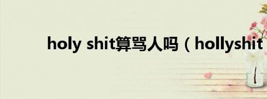 holy shit算骂人吗（hollyshit）