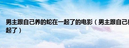 武破十方苏辰枫（武破十方）
