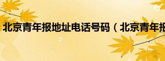 北京青年报地址电话号码（北京青年报地址）