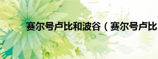 赛尔号卢比和波谷（赛尔号卢比）