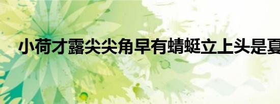 小荷才露尖尖角早有蜻蜓立上头是夏天吗