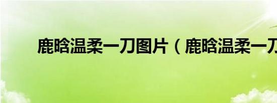 鹿晗温柔一刀图片（鹿晗温柔一刀）