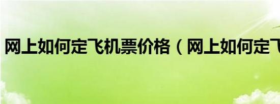 网上如何定飞机票价格（网上如何定飞机票）