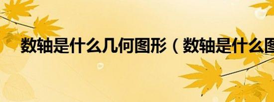 数轴是什么几何图形（数轴是什么图形）