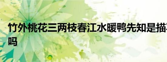 竹外桃花三两枝春江水暖鸭先知是描写春天的吗