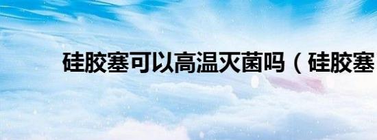 硅胶塞可以高温灭菌吗（硅胶塞）