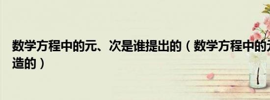 数学方程中的元、次是谁提出的（数学方程中的元次是谁创造的）