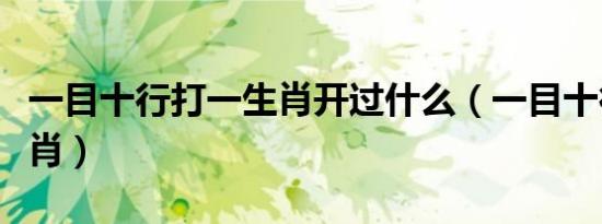 一目十行打一生肖开过什么（一目十行打一生肖）