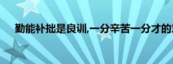 勤能补拙是良训,一分辛苦一分才的意思
