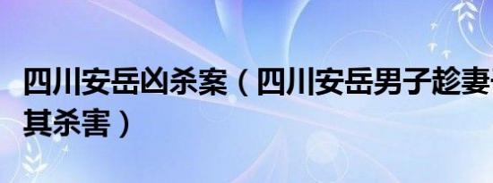 四川安岳凶杀案（四川安岳男子趁妻子熟睡将其杀害）