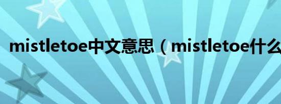 mistletoe中文意思（mistletoe什么意思）