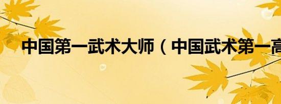 中国第一武术大师（中国武术第一高手）