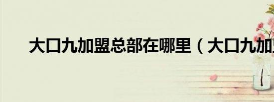 大口九加盟总部在哪里（大口九加盟）