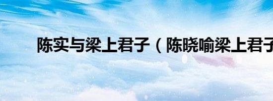 陈实与梁上君子（陈晓喻梁上君子）