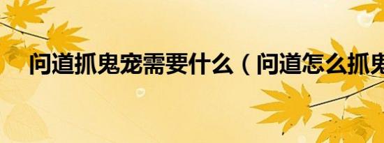问道抓鬼宠需要什么（问道怎么抓鬼宠）