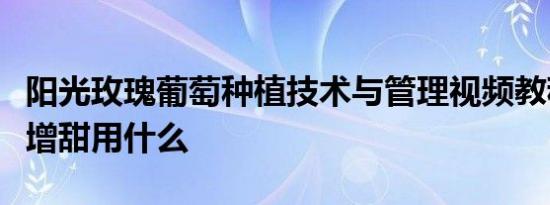 阳光玫瑰葡萄种植技术与管理视频教程小番茄增甜用什么