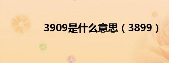 3909是什么意思（3899）