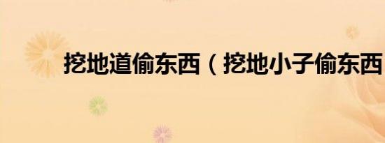 挖地道偷东西（挖地小子偷东西）