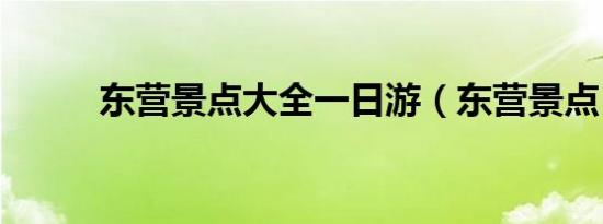 东营景点大全一日游（东营景点）