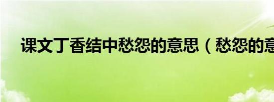 课文丁香结中愁怨的意思（愁怨的意思）