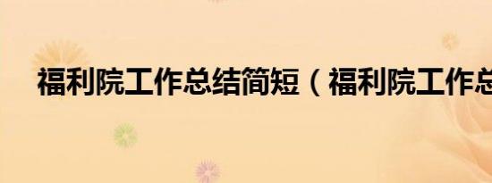 福利院工作总结简短（福利院工作总结）